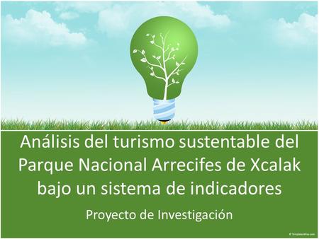 Análisis del turismo sustentable del Parque Nacional Arrecifes de Xcalak bajo un sistema de indicadores Proyecto de Investigación.