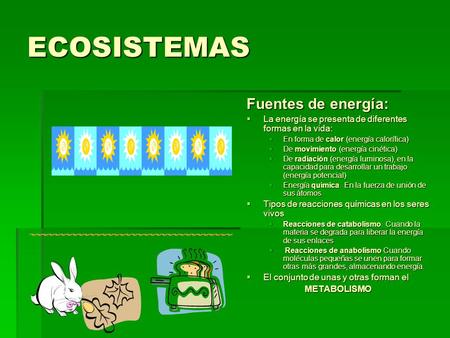 ECOSISTEMAS Fuentes de energía: