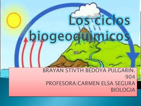 BRAYAN STIVTH BEDOYA PULGARIN. 904 PROFESORA:CARMEN ELSA SEGURA BIOLOGIA BRAYAN STIVTH BEDOYA PULGARIN. 904 PROFESORA:CARMEN ELSA SEGURA BIOLOGIA.