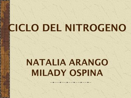 CICLO DEL NITROGENO NATALIA ARANGO MILADY OSPINA
