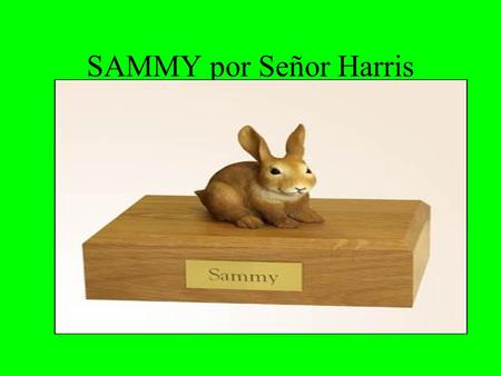 SAMMY por Señor Harris. Sammy tiene hambre Tengo un conejo que se llama Sammy. Sammy tiene hambre. Sammy detesta zanahorias.