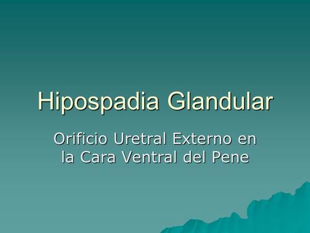 Orificio Uretral Externo en la Cara Ventral del Pene