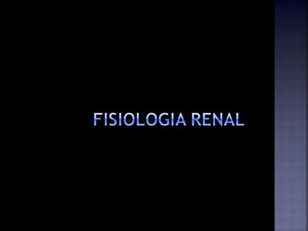 FISIOLOGIA RENAL.