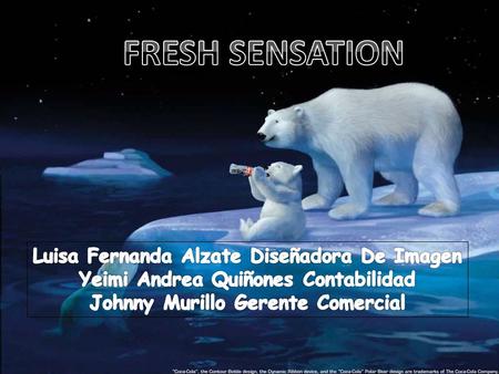 somos una empresa donde fabricamos y comercializamos un ambientador en el cual le brindamos a nuestros clientes una satisfacción visual y de ambientación.