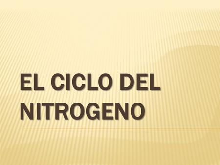 EL CICLO DEL NITROGENO.