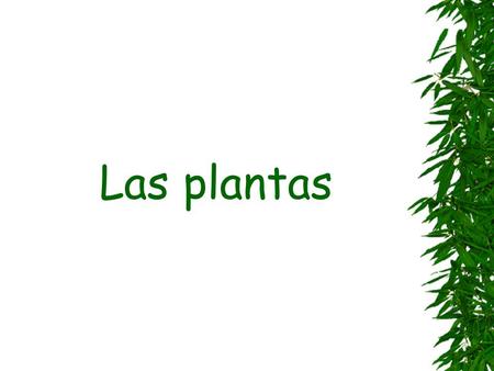 Las plantas. Las plantas son seres vivos que: nacen,