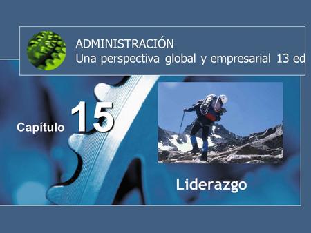 ADMINISTRACIÓN Una perspectiva global y empresarial 13 ed