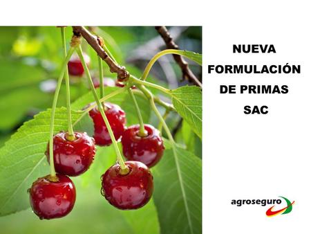 NUEVA FORMULACIÓN DE PRIMAS SAC