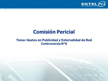 Comisión Pericial Tema: Gastos en Publicidad y Externalidad de Red Controversia N°6 1.