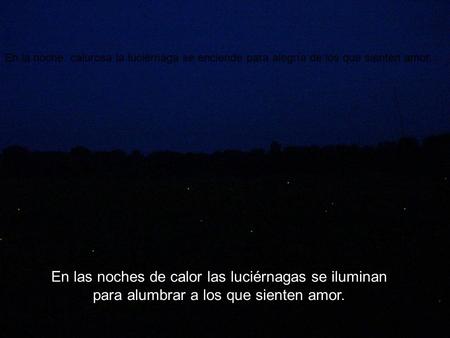 En la noche calurosa la luciérnaga se enciende para alegría de los que sienten amor. En las noches de calor las luciérnagas se iluminan para alumbrar a.