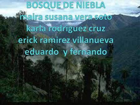 BOSQUE DE NIEBLA maira susana vera soto karla rodriguez cruz erick ramirez villanueva eduardo y fernando.