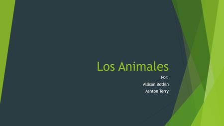 Los Animales Por: Allison Botkin Ashton Terry. El Tigre  El tigre es un animal que es en vías de extinction porque explotación forestal está destruiendo.
