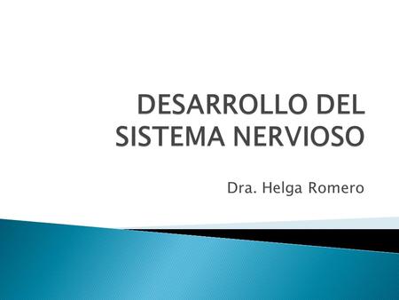 DESARROLLO DEL SISTEMA NERVIOSO