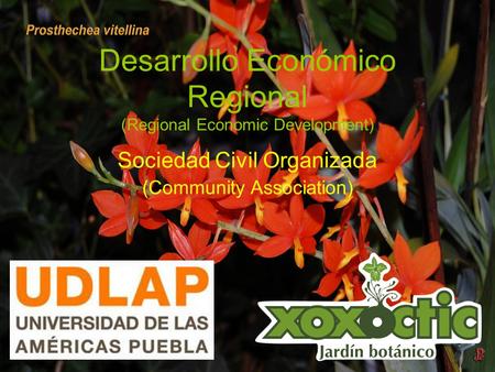 Desarrollo Económico Regional (Regional Economic Development) Sociedad Civil Organizada (Community Association)