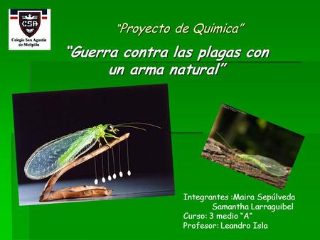 “Guerra contra las plagas con un arma natural”