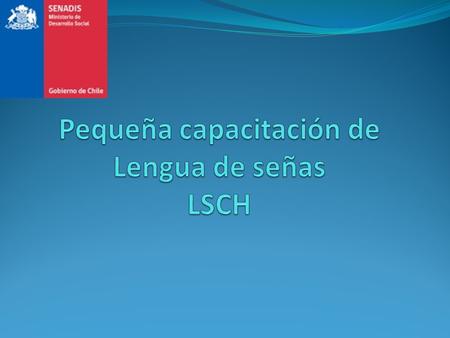 Pequeña capacitación de Lengua de señas LSCH