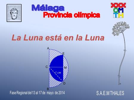 Fase Regional del 13 al 17 de mayo de 2014