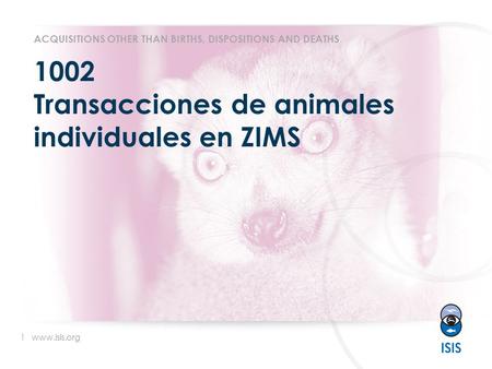 1 www.isis.org 1002 Transacciones de animales individuales en ZIMS ACQUISITIONS OTHER THAN BIRTHS, DISPOSITIONS AND DEATHS.