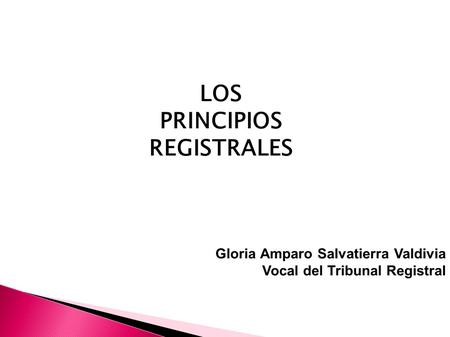 LOS PRINCIPIOS REGISTRALES