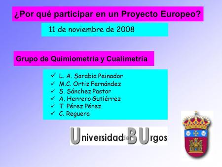11 de noviembre de 2008 ¿Por qué participar en un Proyecto Europeo? L. A. Sarabia Peinador M.C. Ortiz Fernández S. Sánchez Pastor A. Herrero Gutiérrez.