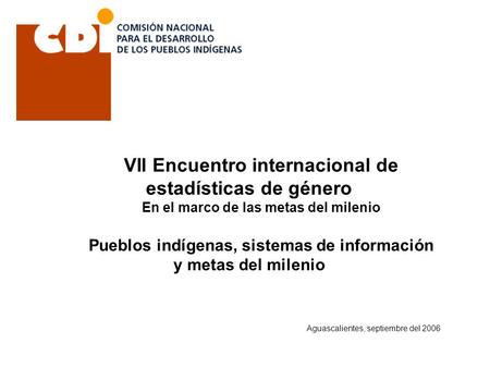 VII Encuentro internacional de estadísticas de género En el marco de las metas del milenio Pueblos indígenas, sistemas de información y metas del milenio.