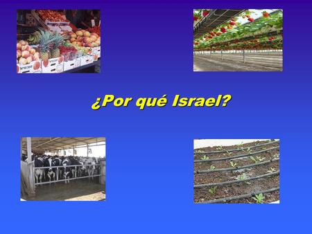 ¿Por qué Israel?. Israel en el mundo Israel Israel en el Medio Oriente.