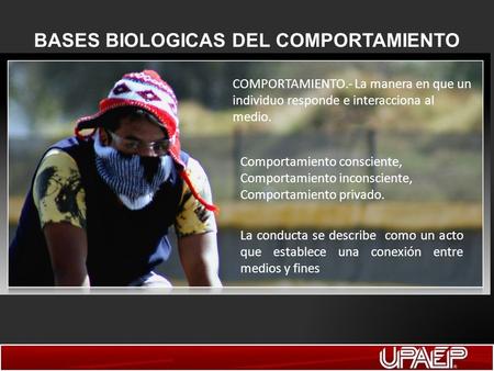 BASES BIOLOGICAS DEL COMPORTAMIENTO