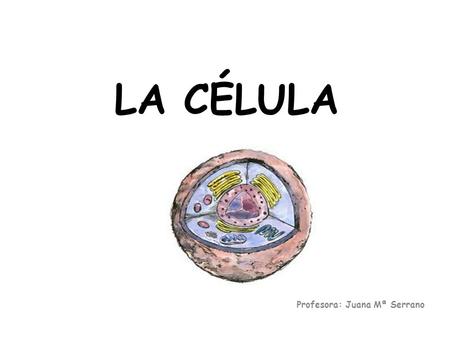 LA CÉLULA Profesora: Juana Mª Serrano. El descubrimiento de la célula Avances tecnológicos en fabricación de los microscopios y el perfeccionamiento.