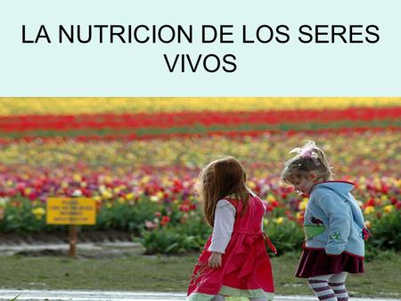 LA NUTRICION DE LOS SERES VIVOS