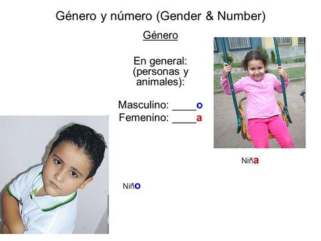 Género y número (Gender & Number) Género En general: (personas y animales): Masculino: ____o Femenino: ____a Niñ o Niñ a.