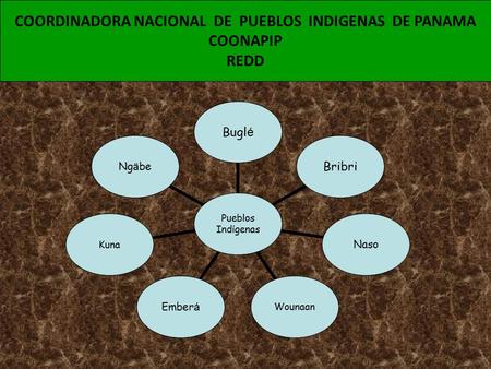 Pueblos Ind í genas Bugl é BribriNasoWounaanEmber á KunaNg ä be COORDINADORA NACIONAL DE PUEBLOS INDIGENAS DE PANAMA COONAPIP REDD.