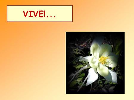 VIVE!... UNAS FLORES SON MUY SENCILLAS … Y OTRAS MUY SOFISTICADAS.