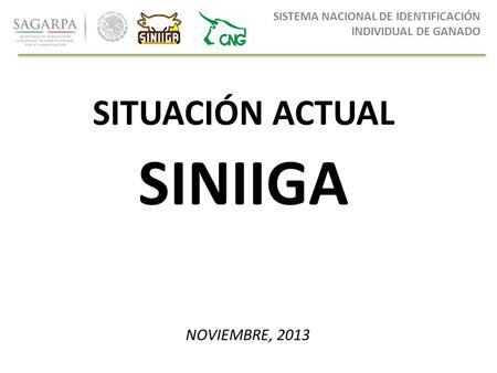 SINIIGA SITUACIÓN ACTUAL NOVIEMBRE, 2013