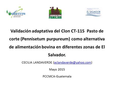 CECILIA LANDAVERDE (aclandaverde@yahoo.com) Validación adaptativa del Clon CT-115 Pasto de corte (Pennisetum purpureum) como alternativa de alimentación.