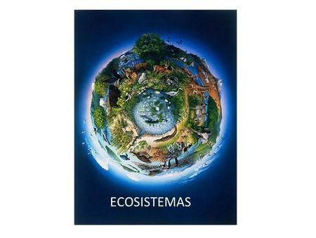 ,, ECOSISTEMAS.