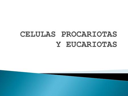 PROCARIOTAEUCARIOTA NUCLEO SIN DEFINICION POR FALTA DE MEMBRANA NUCLEAR TOTALMENTE DEFINIDO TAMAÑOMUY PEQUEÑOPEQUEÑO SISTEMA INTERNO DE MEMBRANAS AUSENTEPRESENTE.