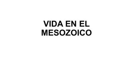 VIDA EN EL MESOZOICO.