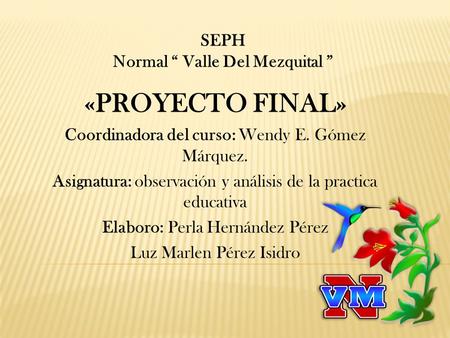 «PROYECTO FINAL» SEPH Normal “ Valle Del Mezquital ”