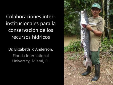 Dr. Elizabeth P. Anderson, Florida International University, Miami, FL