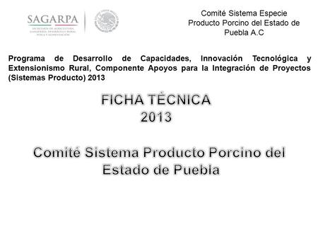 Comité Sistema Producto Porcino del