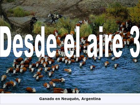 Ganado en Neuquén, Argentina Cementerio Militar en Verdún, Francia.