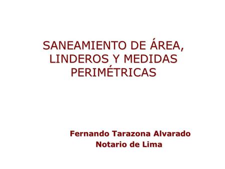 SANEAMIENTO DE ÁREA, LINDEROS Y MEDIDAS PERIMÉTRICAS