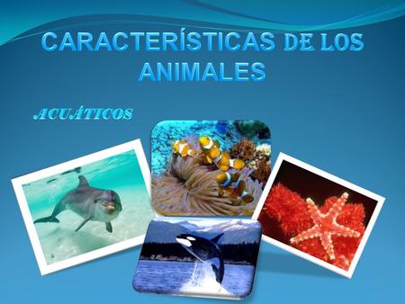 CARACTERÍSTICAS DE LOS ANIMALES