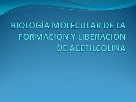 BIOLOGÍA MOLECULAR DE LA FORMACIÓN Y LIBERACIÓN DE ACETILCOLINA