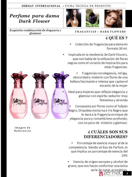 ¿ CUÁLES SON SUS DIFERENCIADORES?