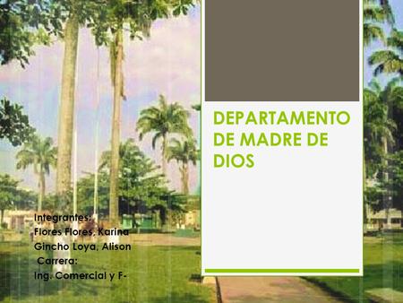 DEPARTAMENTO DE MADRE DE DIOS Integrantes: Flores Flores, Karina Gincho Loya, Alison Carrera: Ing. Comercial y F-