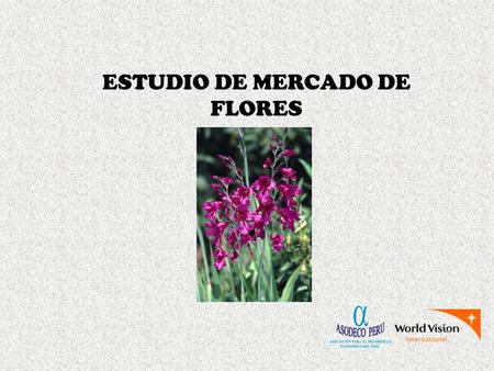 ESTUDIO DE MERCADO DE FLORES