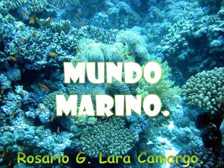 Mundo Marino. . Rosario G. Lara Camargo..