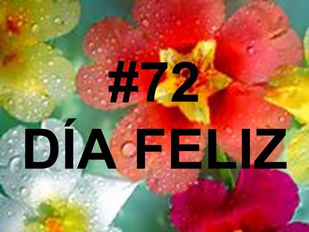 #72 DÍA FELIZ.