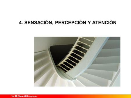 1. Despierta tus sentidos